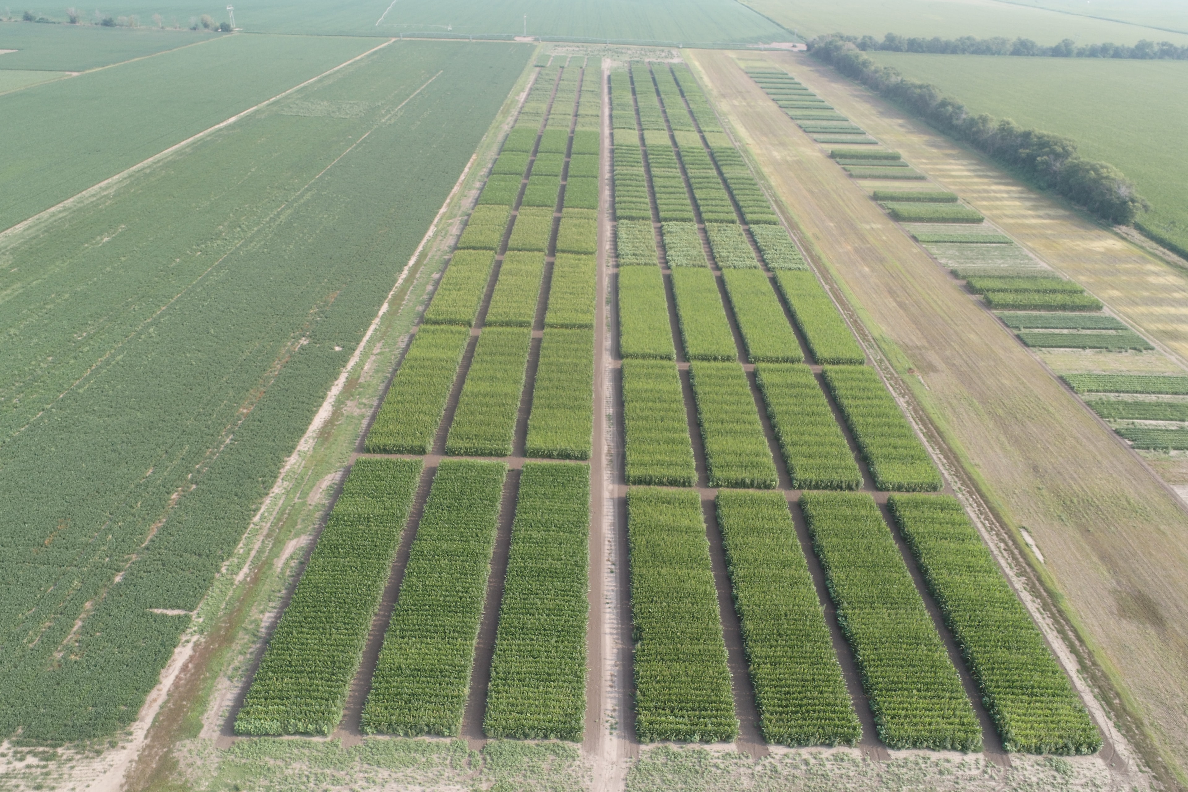 Aerial patchwork of Midwest farmland