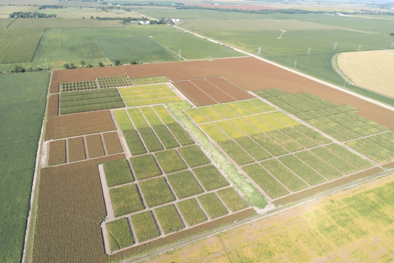 Agricultural research plots viewed from above